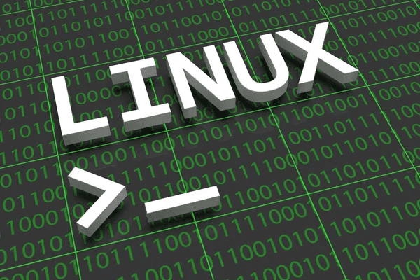 Escolhendo o Melhor Linux para Pentest: Uma Jornada pelo Mundo da Segurança Cibernética